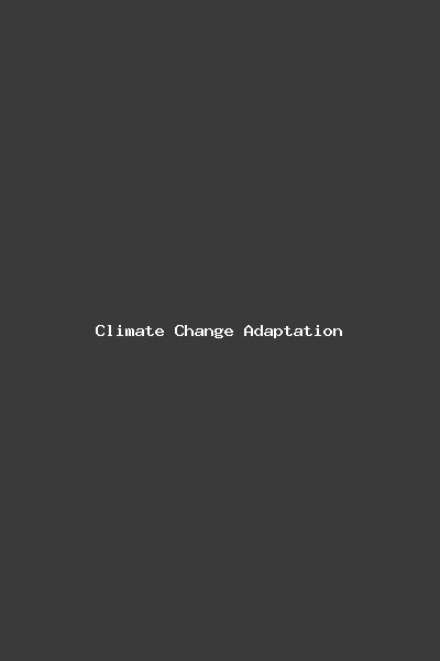 Climate Change Adaptation Strategies